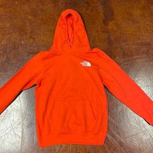 NWT NORTH FACE HOODIE